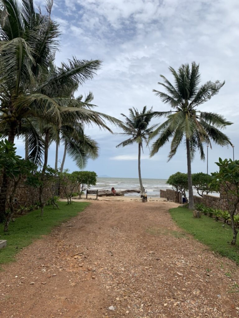 a dirt road lined with palm trees in Kep and the sea at the end
